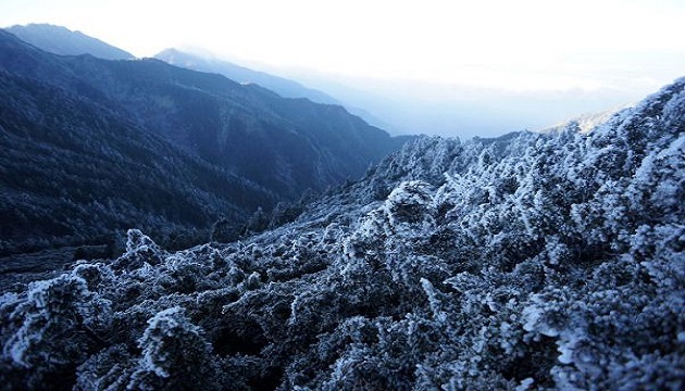 日冬最強冷氣團來襲 台灣也可能飄雪 | 文章內置圖片