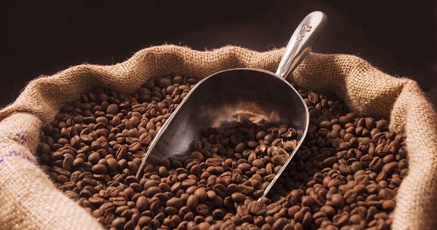 一台磨豆機，更勝高級咖啡粉！專家告訴你怎麼保存咖啡豆
