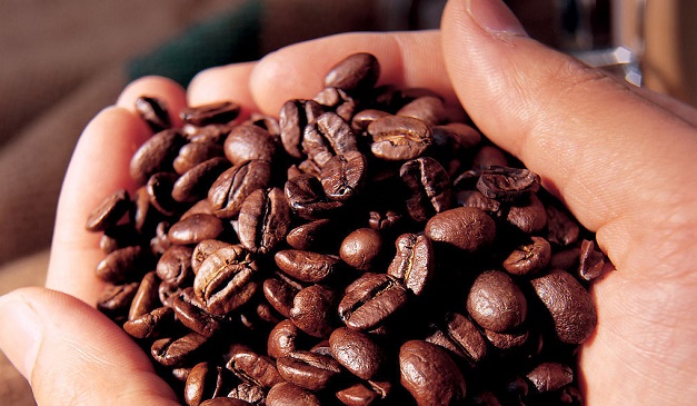 選購咖啡豆有訣竅，讓專家告訴你該考慮什麼 | 文章內置圖片