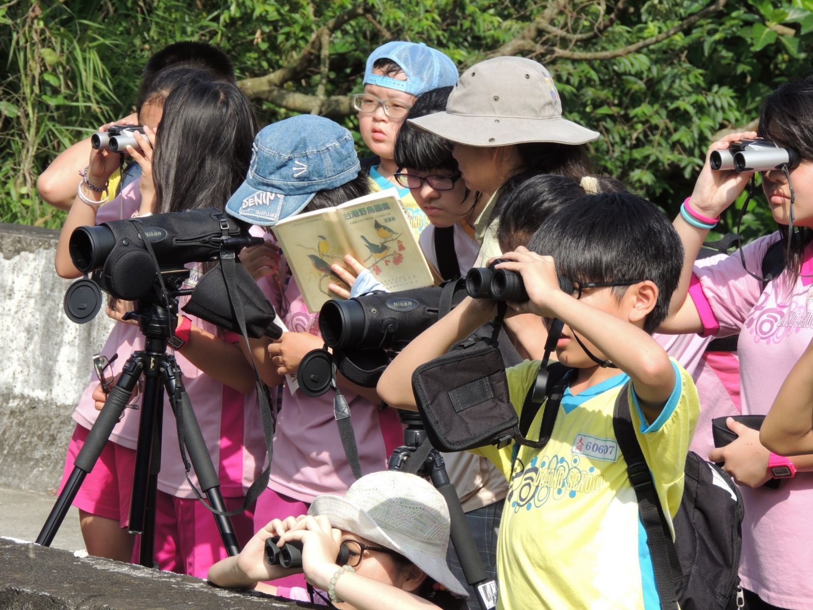 濕地FUN學趣  暑假一起來社子島，認識豐富有趣的濕地生態 | 文章內置圖片