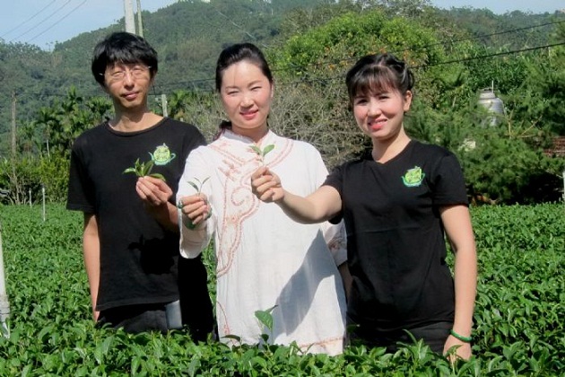 台灣首位外籍茶藝師！從０到１越南女孩勇闖茶世界 | 文章內置圖片