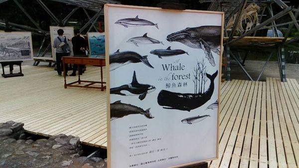 宜蘭縣立蘭陽博物館 「海洋保育蘭博鯨奇」推廣活動 | 文章內置圖片