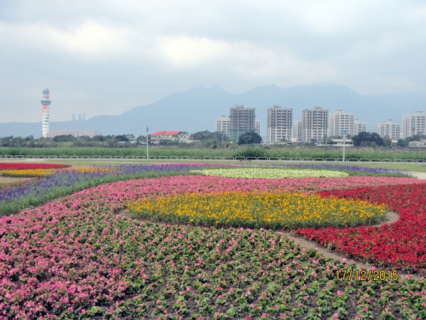 暑假结尾赏花去 士林百龄左岸河滨公园为北台湾第一首选！ | 文章内置图片