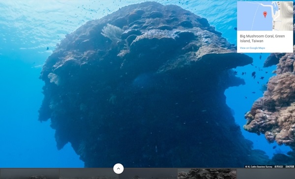 Google海底實景上線！　回味「大香菇」快拿起手機搜尋！ | 文章內置圖片