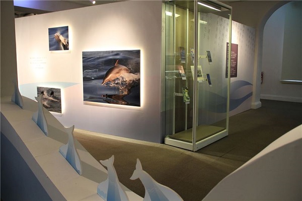 航向浩瀚：臺湾海洋文学特展 | 文章内置图片