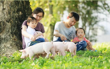 農業創新育成 臺灣企業成功打進國際市場 | 文章內置圖片