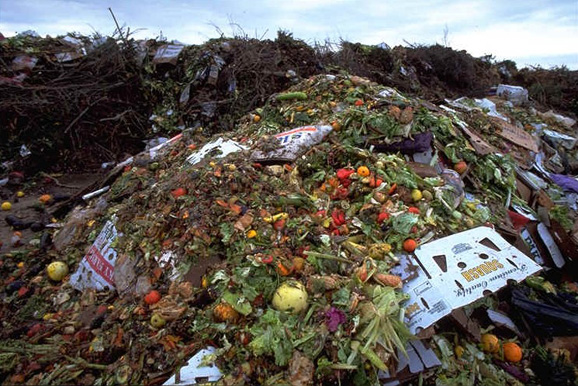 天打雷噼 全球年浪费食物13亿吨 | 文章内置图片