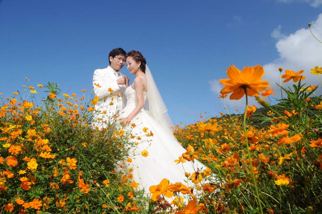台灣也能開創第二次婚紗產業高峰 | 文章內置圖片