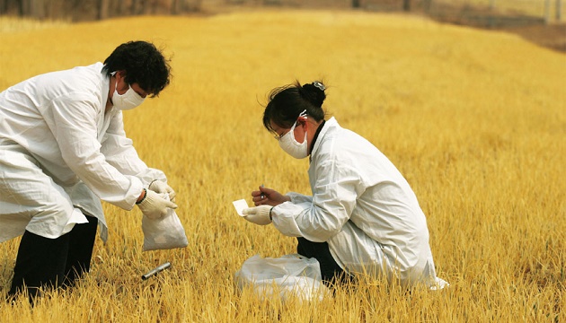 飢荒有解　食品受限基因改造 | 文章內置圖片