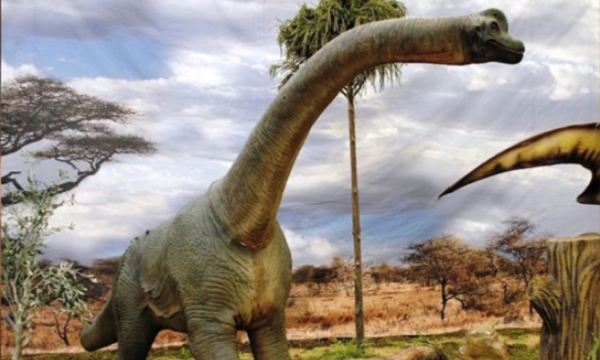 發現新品種! 史上體型最大恐龍 | 文章內置圖片