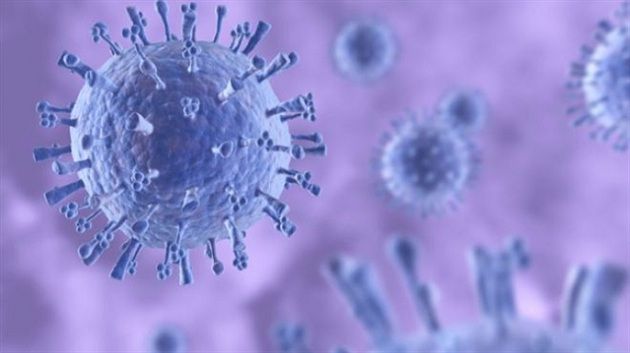 流感變異 世衛公布疫苗新組合 | 文章內置圖片