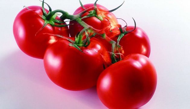 生番茄有毒? 农改场批谣言 | 文章内置图片