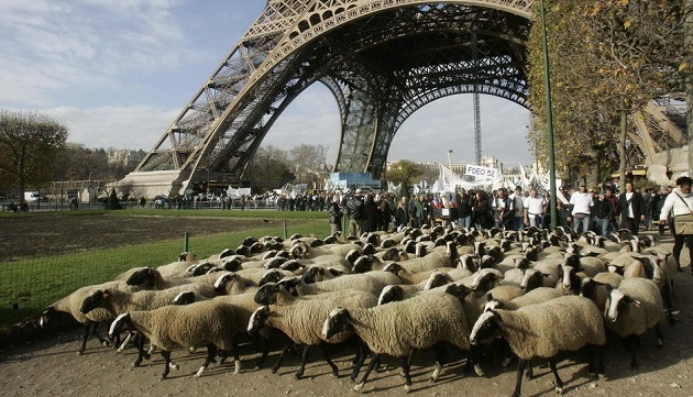 快活不下去! 法農民湧入巴黎抗議 | 文章內置圖片
