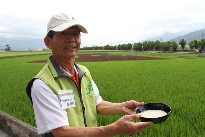 台灣米口感佳 天貓邀玉里農來中國賣米 | 文章內置圖片
