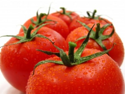 番茄Tomato